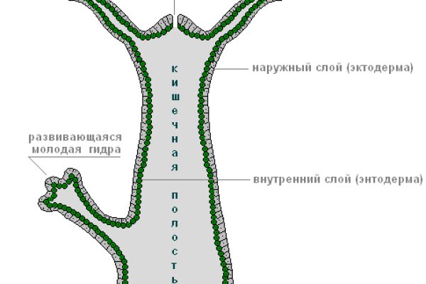 Рабочая ссылка на мегу через впн